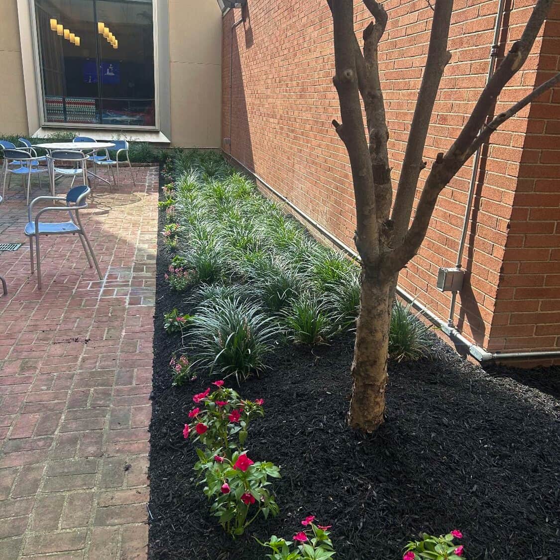 A small tree stands in a flower bed beside a textured brick wall, enhancing the garden's natural beauty.